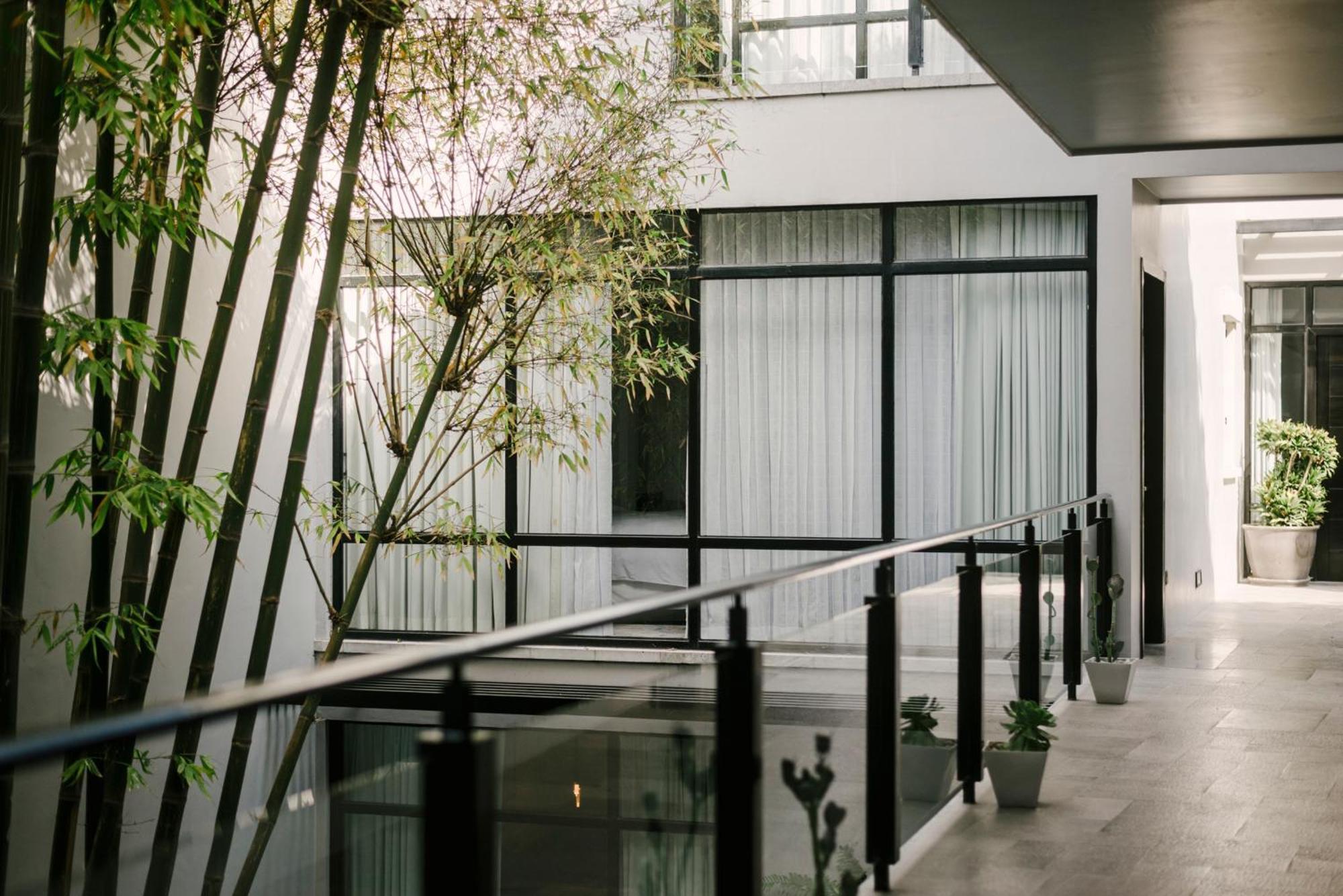 Hotel Matilda, A Member Of Design Hotels San Miguel de Allende Luaran gambar