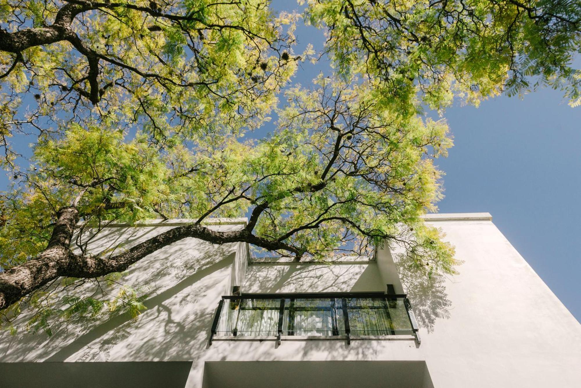 Hotel Matilda, A Member Of Design Hotels San Miguel de Allende Luaran gambar