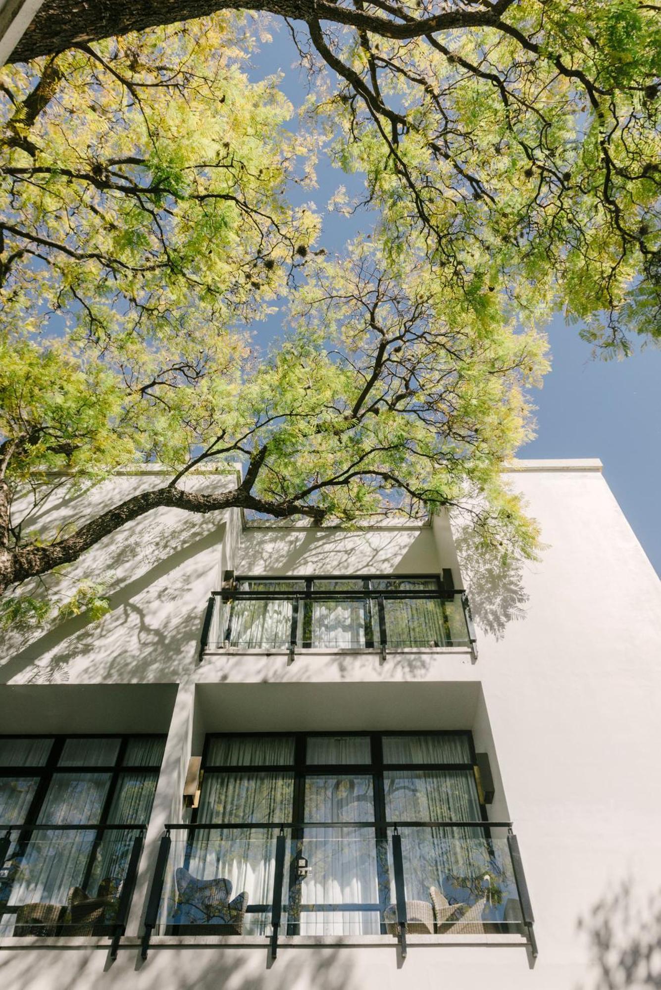 Hotel Matilda, A Member Of Design Hotels San Miguel de Allende Luaran gambar