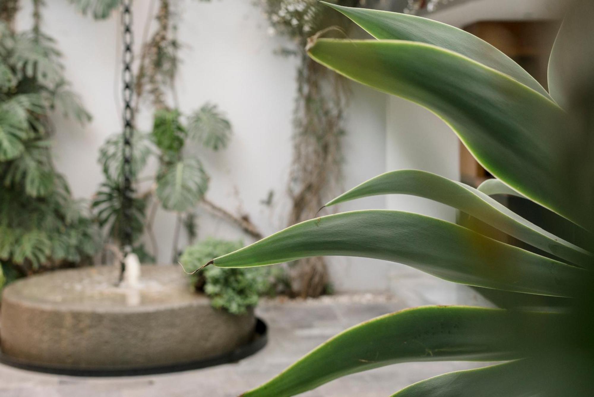 Hotel Matilda, A Member Of Design Hotels San Miguel de Allende Luaran gambar